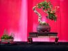 199_Bonsai_Meeting_April_2023_The_Canovas