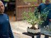 059_Bonsai_Meating_March18_2023Canovas_Photography